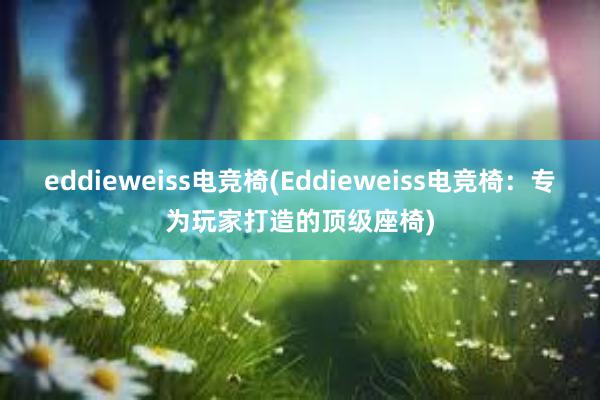 eddieweiss电竞椅(Eddieweiss电竞椅：专为玩家打造的顶级座椅)