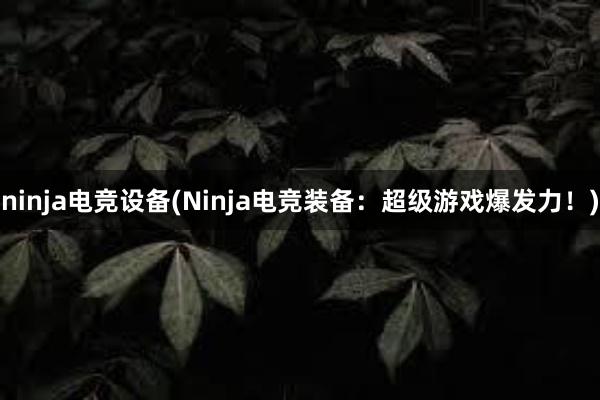 ninja电竞设备(Ninja电竞装备：超级游戏爆发力！)