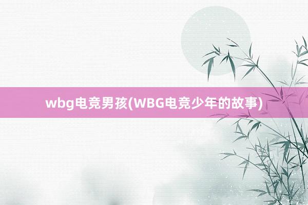 wbg电竞男孩(WBG电竞少年的故事)