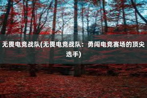 无畏电竞战队(无畏电竞战队：勇闯电竞赛场的顶尖选手)