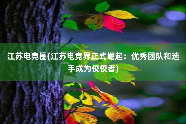 江苏电竞圈(江苏电竞界正式崛起：优秀团队和选手成为佼佼者)