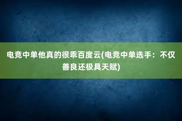 电竞中单他真的很乖百度云(电竞中单选手：不仅善良还极具天赋)