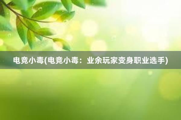 电竞小毒(电竞小毒：业余玩家变身职业选手)