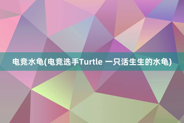 电竞水龟(电竞选手Turtle 一只活生生的水龟)