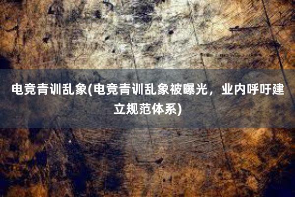 电竞青训乱象(电竞青训乱象被曝光，业内呼吁建立规范体系)