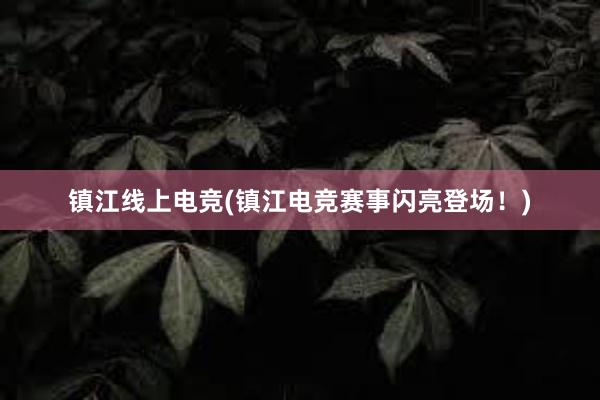 镇江线上电竞(镇江电竞赛事闪亮登场！)