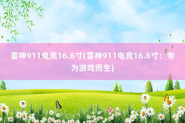 雷神911电竞16.6寸(雷神911电竞16.6寸：专为游戏而生)