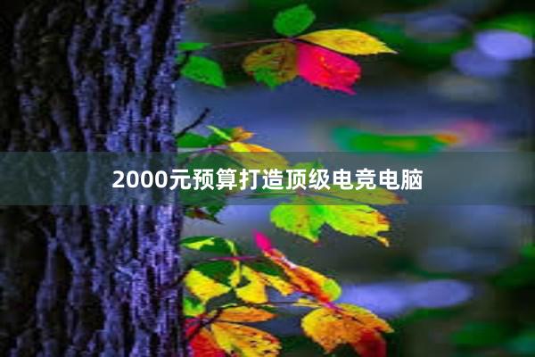 2000元预算打造顶级电竞电脑