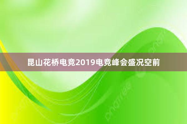 昆山花桥电竞2019电竞峰会盛况空前