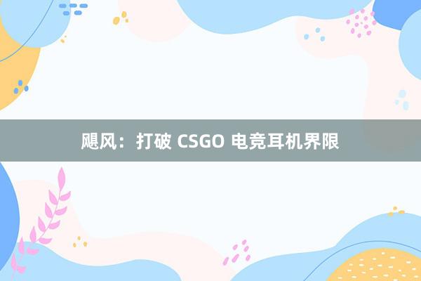 飓风：打破 CSGO 电竞耳机界限