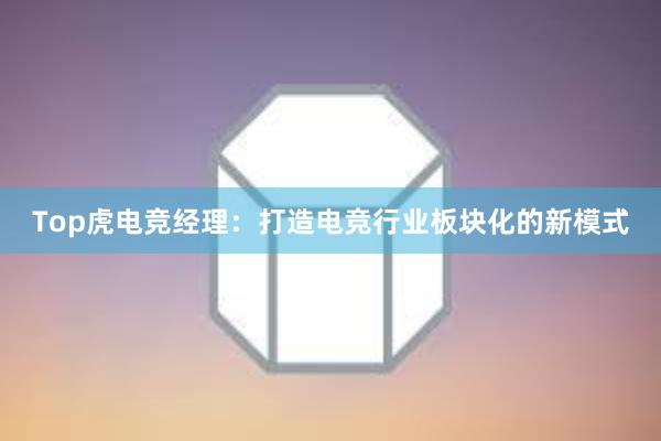 Top虎电竞经理：打造电竞行业板块化的新模式