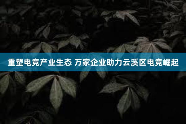 重塑电竞产业生态 万家企业助力云溪区电竞崛起