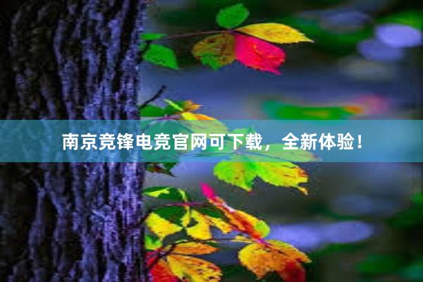 南京竞锋电竞官网可下载，全新体验！