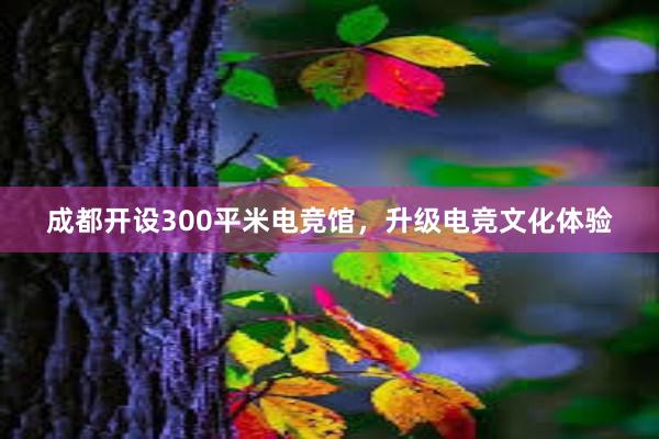 成都开设300平米电竞馆，升级电竞文化体验