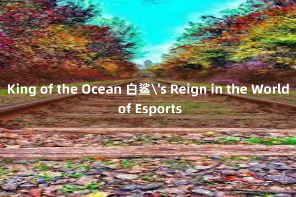 King of the Ocean 白鲨's Reign in the World of Esports